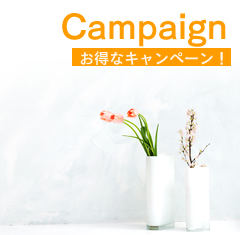 Campaign